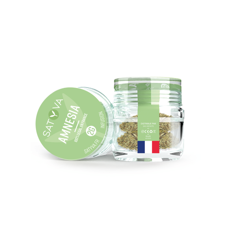Fleur Amnesia CBD Satyva Fleur Amnesia CBD Satyva