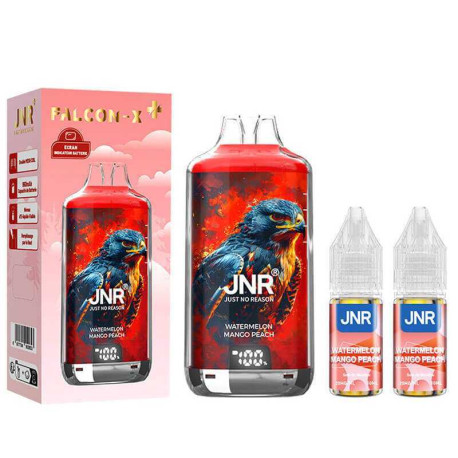 Puff Falcon X 28 000 JNR Pasteque Mangue Peche